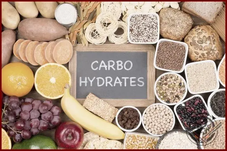 alimentos que contienen carbohidratos