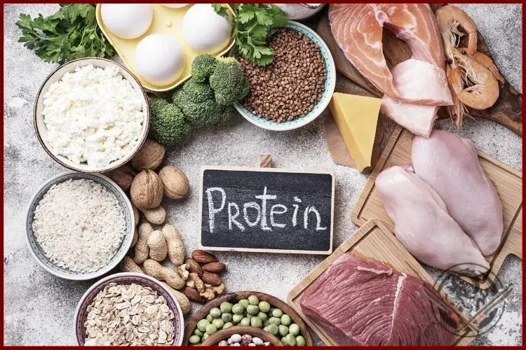 Importancia de las proteínas