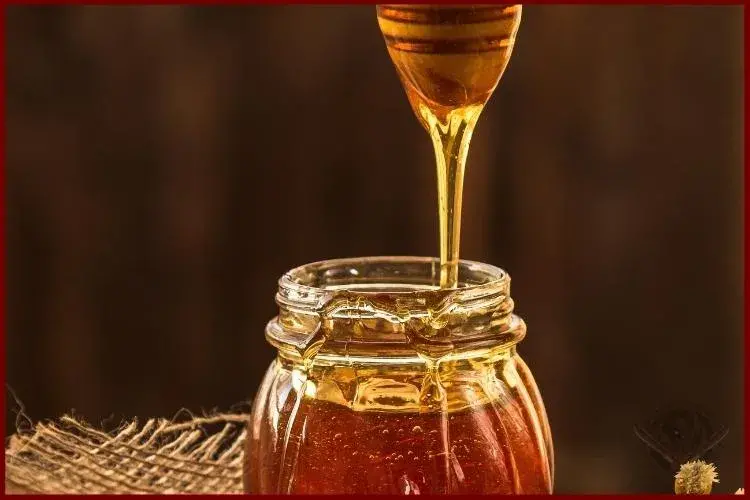 Consumir miel es un buen hábito alimenticio