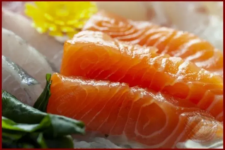 El salmón es Considerado el mejor alimento para la recuperación muscular.