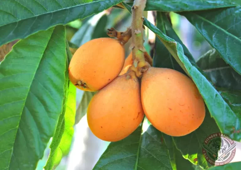 El níspero: una fruta deliciosa y saludable