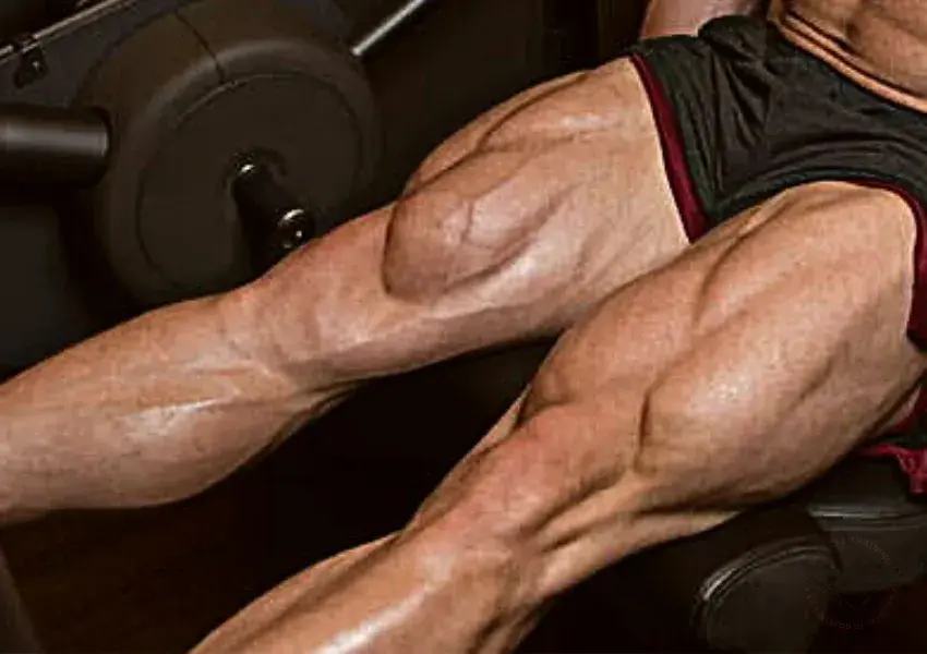 Cómo trabajar las piernas en su totalidad para obtener masa muscular