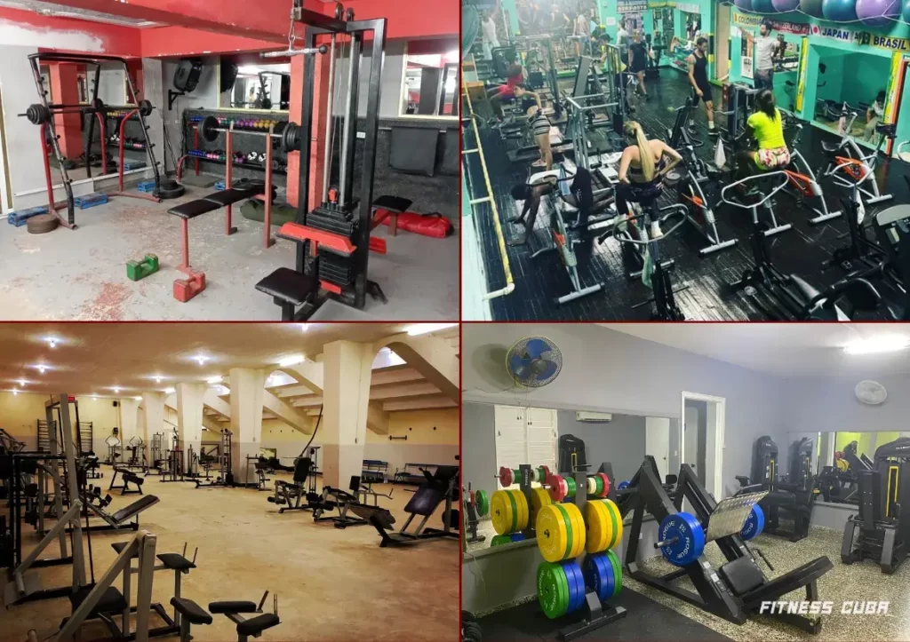Gimnasios en el Vedado: Los más populares