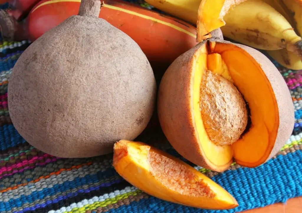 El mamey y su valor nutricional