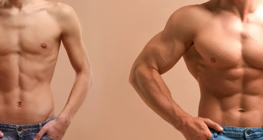 Cómo transformar tu cuerpo: Guía para principiantes en fitness